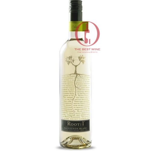 Rượu vang Chile Root: 1 Sauvignon Blanc