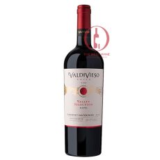 Valdivieso Gran_thebestwine