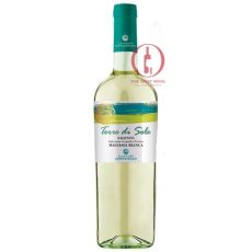 Vang Ý Terre di Sole Bianca_thebestwine