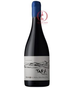 Rượu vang Chile Tara Atacama Syrah_thebestwine