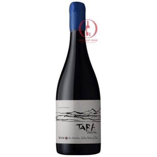 Rượu vang Chile Tara Atacama Syrah_thebestwine
