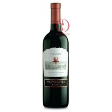 Ventisquero Reserva Carmenere - thebestwine.net