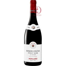 Rượu vang Moillard Bourgogne Pinot Noir