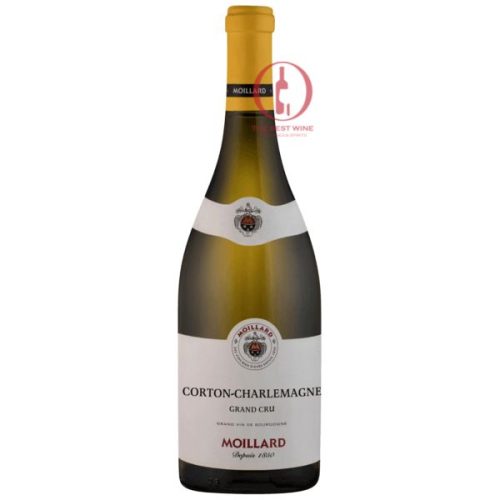 Rượu Moillard Corton Charlemagne Grand Cru
