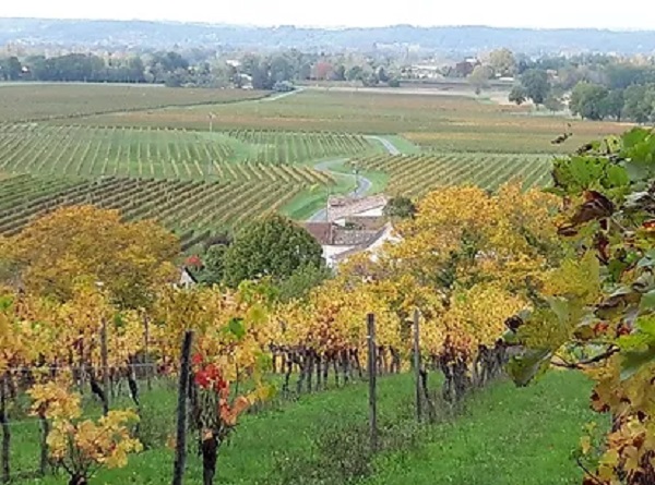 IMG 20201022 WA0020