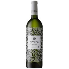 Rượu vang Protea Chenin Blanc 