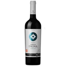 Rượu vang Santa Digna Reserva Merlot