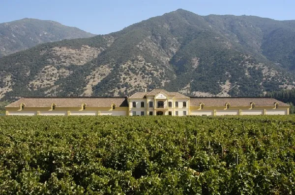Santa Helena Winery Chile