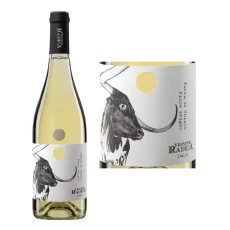 Vigneti Radica Pinot Grigio