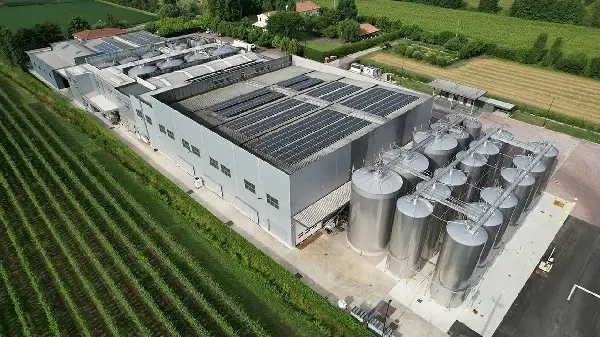 Vinicola Vedovato Mario