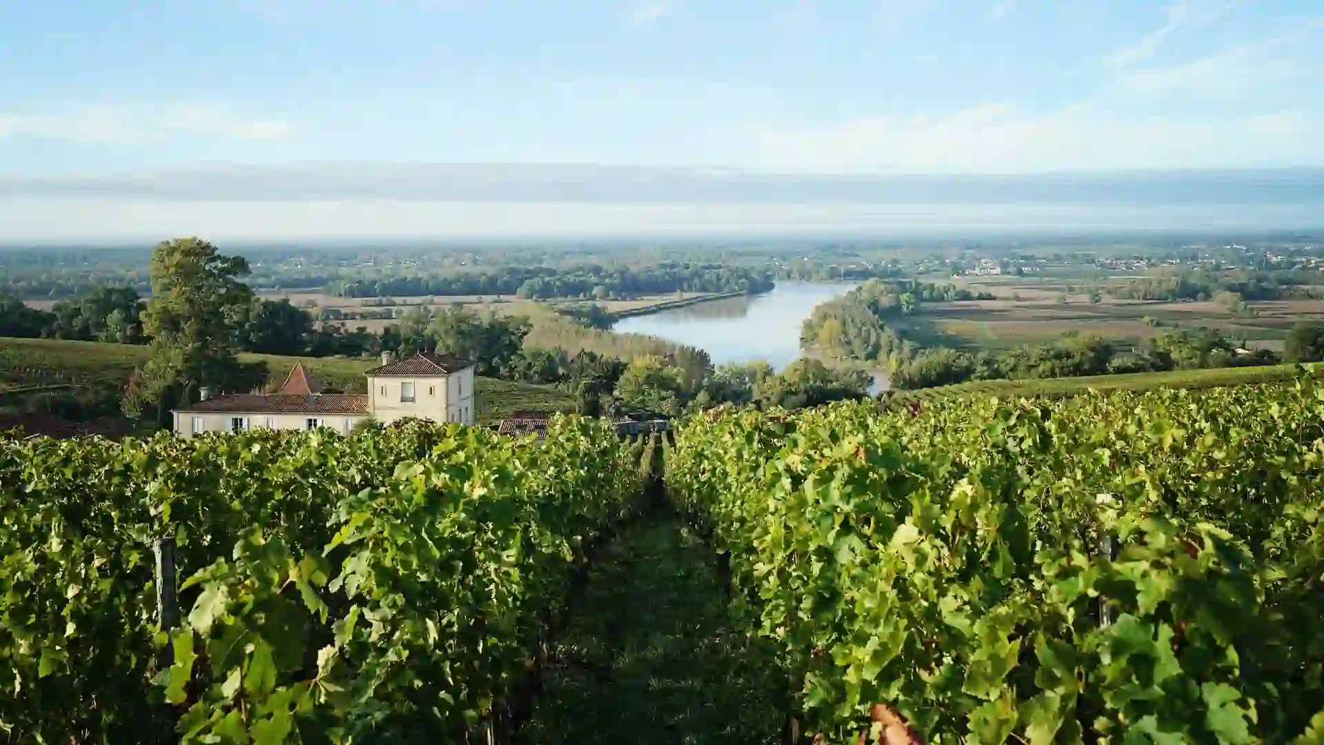 Chateau La Raze Beauvallet
