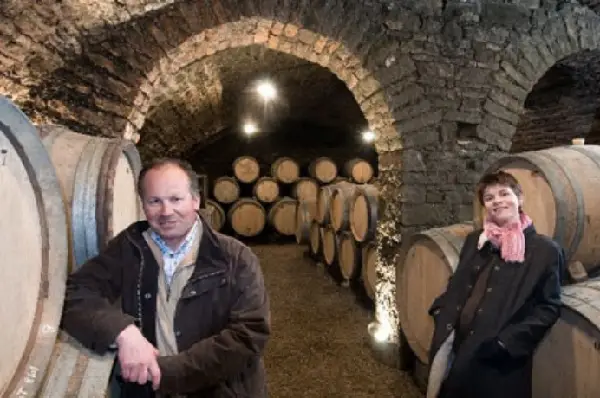 Domaine De Montille Winery.