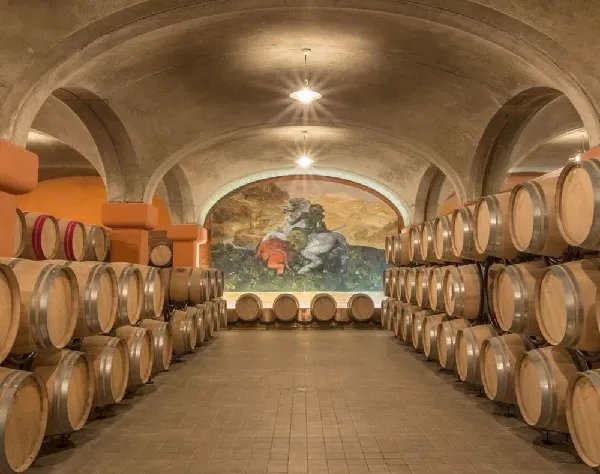 Tua Rita Winery