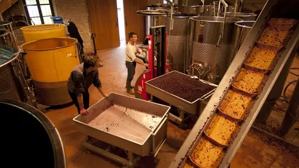 Bellene winery