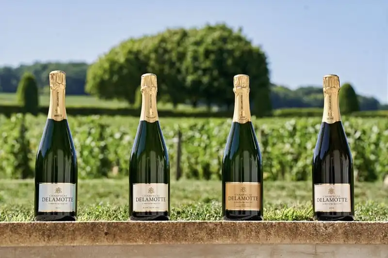 Champagne Delamotte