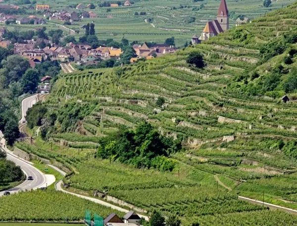 prager vineyards