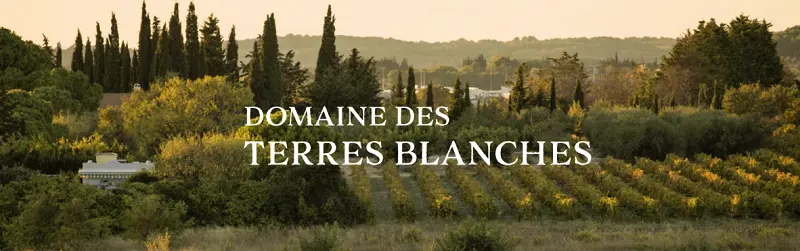 Vườn nho Domaine de Terres Blanches