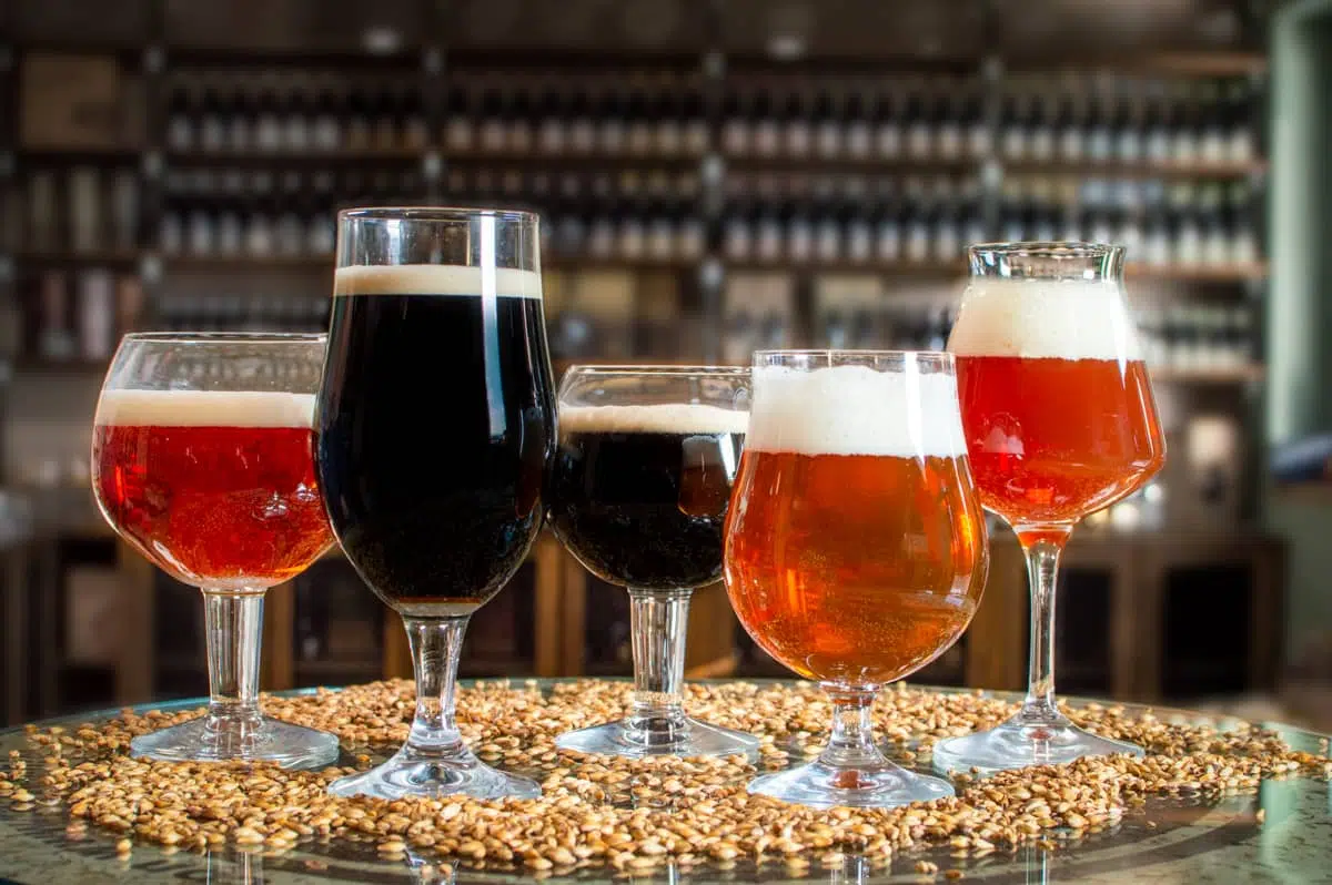 What Wine Is Good For Beer Lovers Dark Golden Triple Belgian Ale.jpg