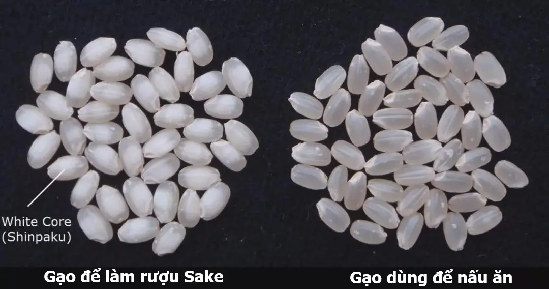 Sự khác biệt giữa các loại sake Dassai 23, 39, 45 và 50 2 c737a11b86e042ada00e48d024ba986c