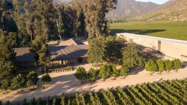 Vina Neyen de Apalta