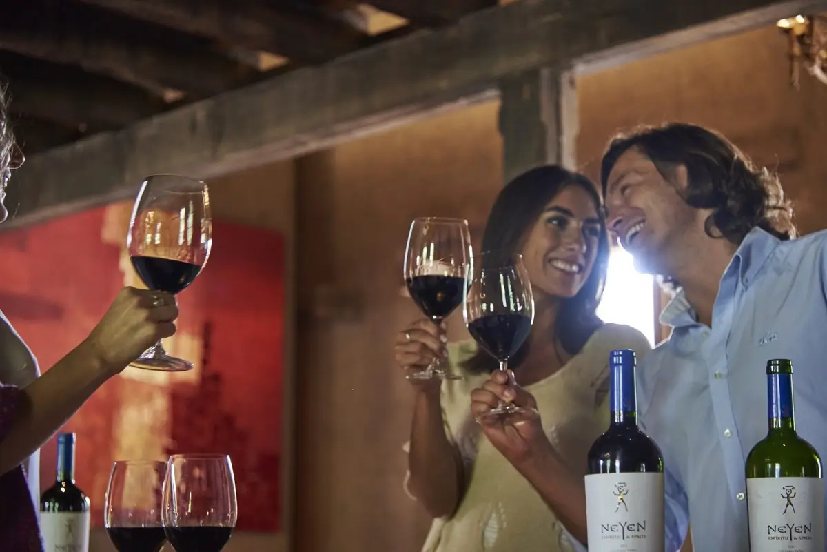 Vina Neyen de Apalta